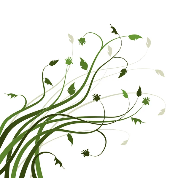 Fond floral, ornement, feuilles — Image vectorielle