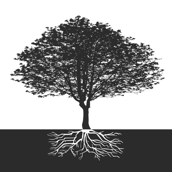 Abstraktní strom s květinami a prostor pro text — Stockový vektor
