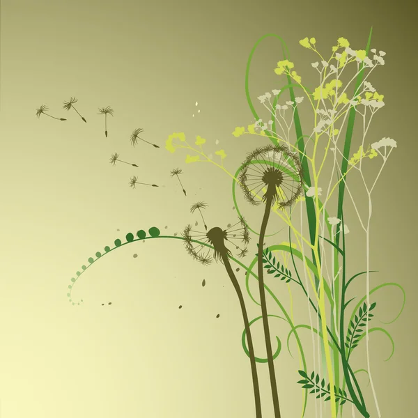 Květinové pozadí, pampeliška — Stockový vektor