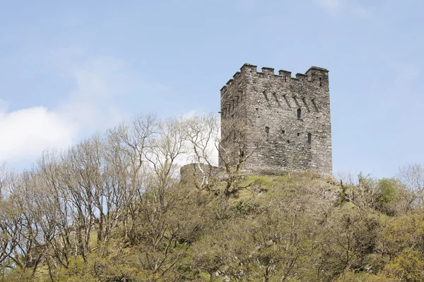 Κάστρο στην κορυφή ενός λόφου — Φωτογραφία Αρχείου