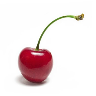 Cherry clipart