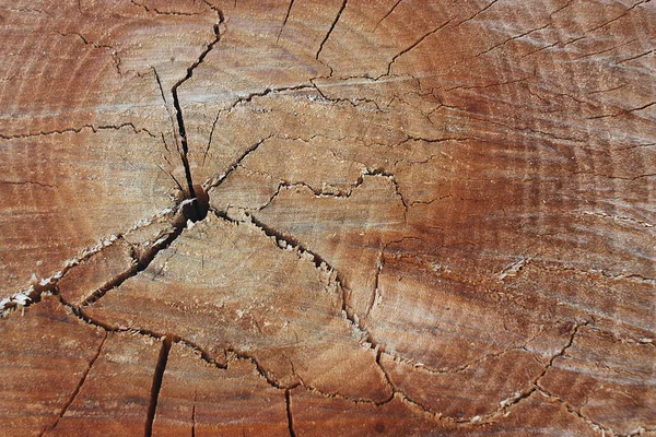 stock image Old cracked wood texture