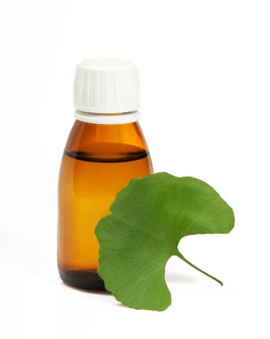 Ginkgo biloba