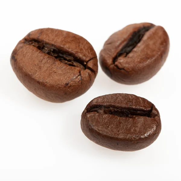 Macro tiro isolado de grãos de café — Fotografia de Stock