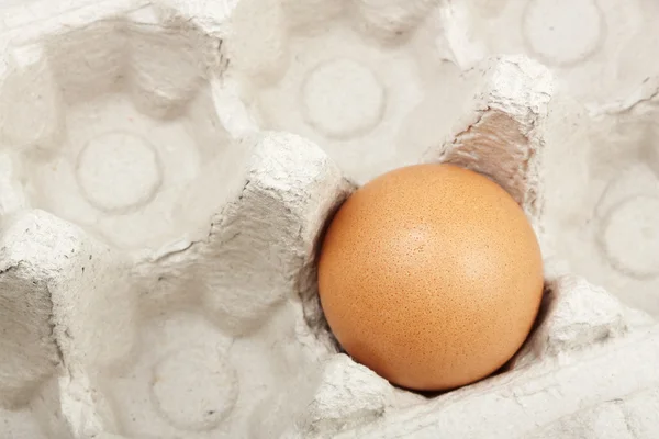 Uovo in imballaggio di cartone — Foto Stock