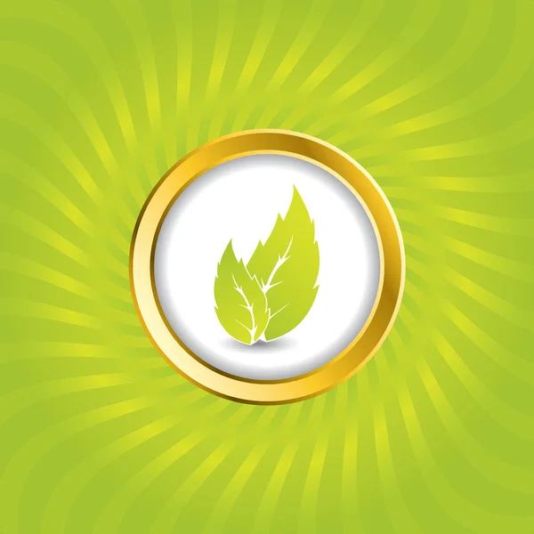 Burst bio green with button — Stock Vector