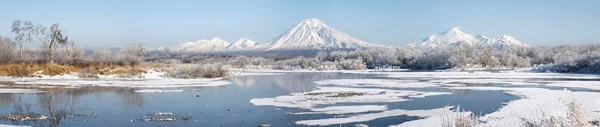 Панорама зимнего пейзажа Стоковое Фото