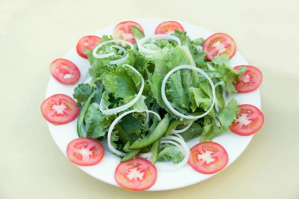 Salada com cebola e tomate — Fotografia de Stock
