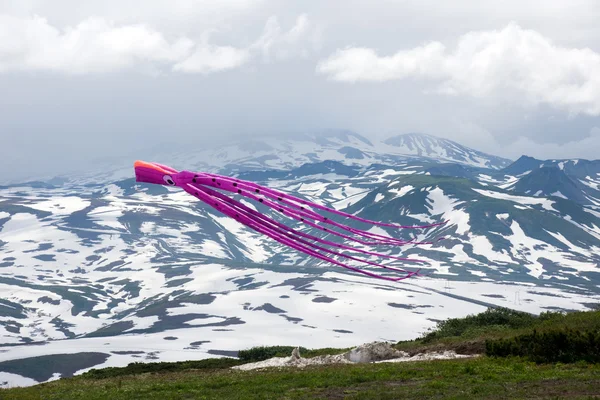 天空中的风筝 — 图库照片