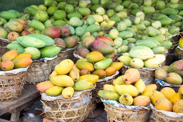 stock image Mango background