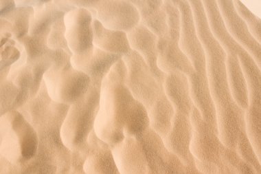 Sandy background clipart