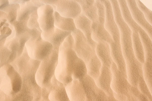 砂浜の背景 — ストック写真