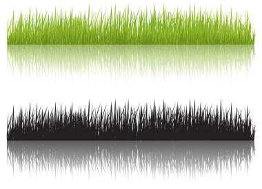 Grass, vector illustration clipart