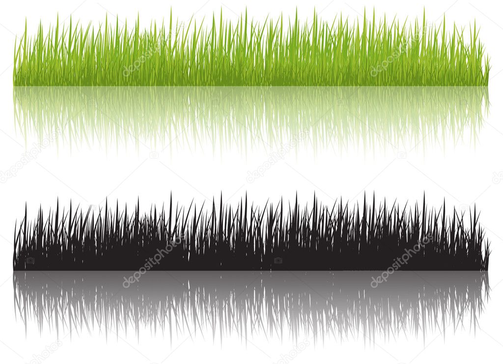 Grass, vector illustration