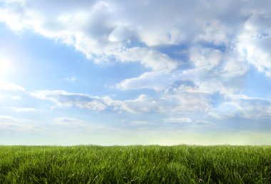 Green field and blue sky clipart