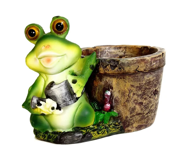 Frog a flowerpot — Stock Photo, Image