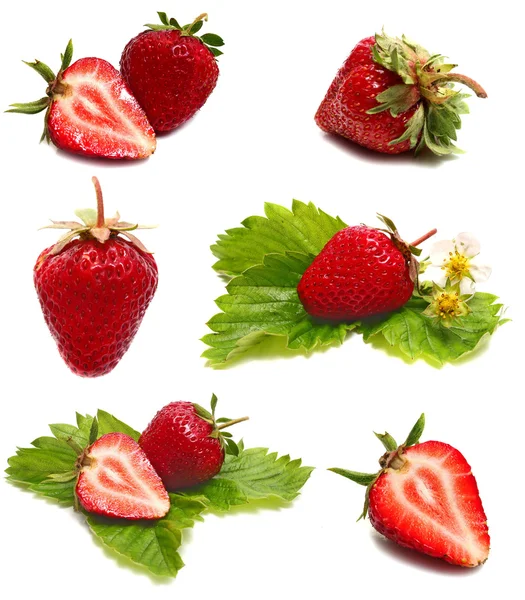 Strawberrys — Stock Photo, Image