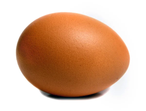 달걀 가로 — 스톡 사진