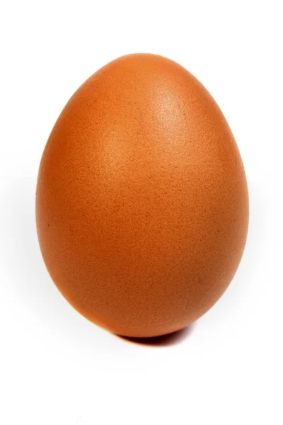 Egg vertical — Stock Photo, Image