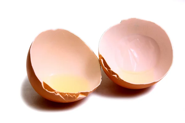 Skořápka vajíčka — Stock fotografie