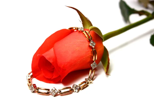 Rosa e pulseira de ouro — Fotografia de Stock