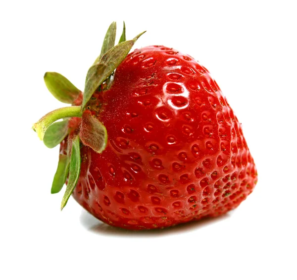 Erdbeere reif — Stockfoto