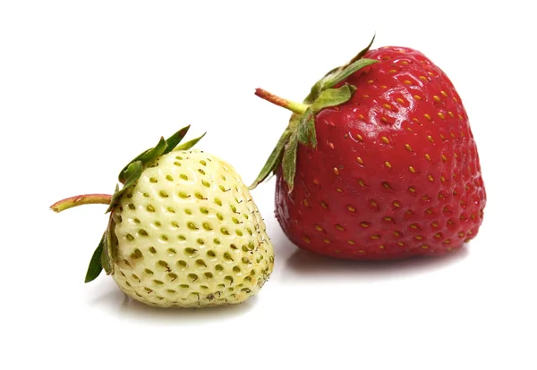 White and red strawberry — Stock Photo, Image