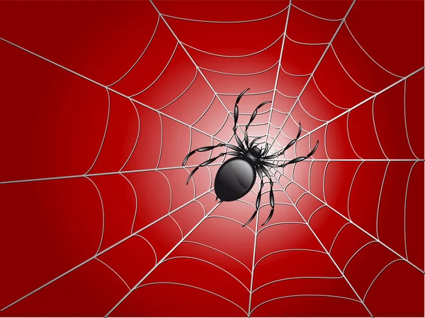 Spindel på ons — Stock vektor