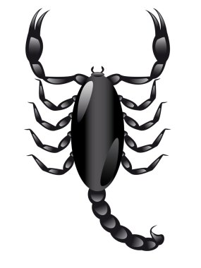 Scorpion clipart