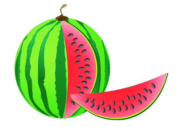 Vattenmelon — Stock vektor