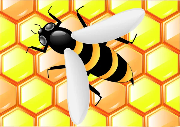 Méhecske lépek — Stock Vector