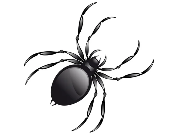 Araña — Vector de stock