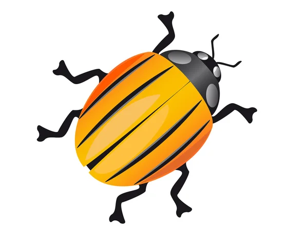 Kolorado-Käfer — Stockvektor