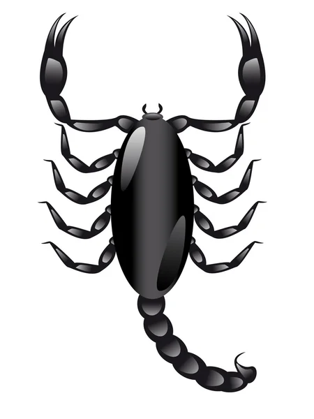 Scorpione — Vettoriale Stock