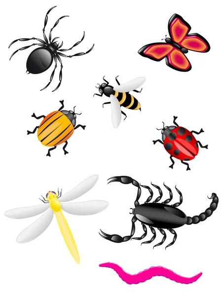 Escarabajos e insectos colores — Vector de stock