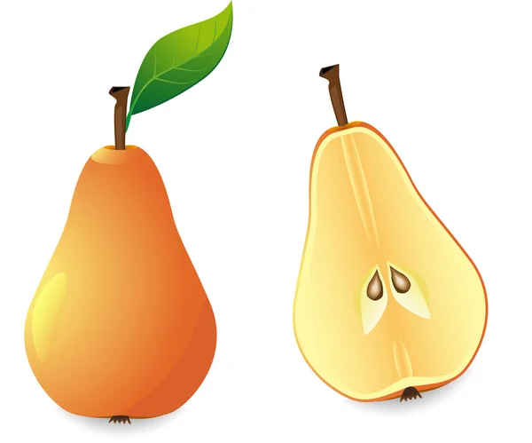 Gula päron och skiva — Stock vektor