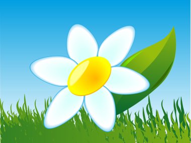 A flower is a comomile clipart