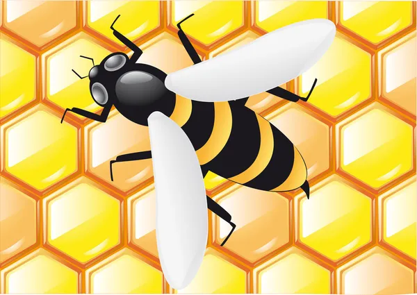 Méhecske lépek — Stock Fotó
