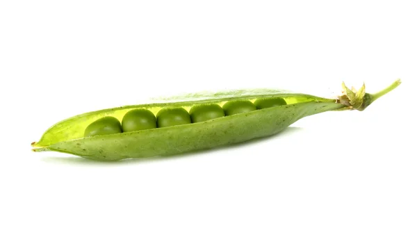 stock image Green pea