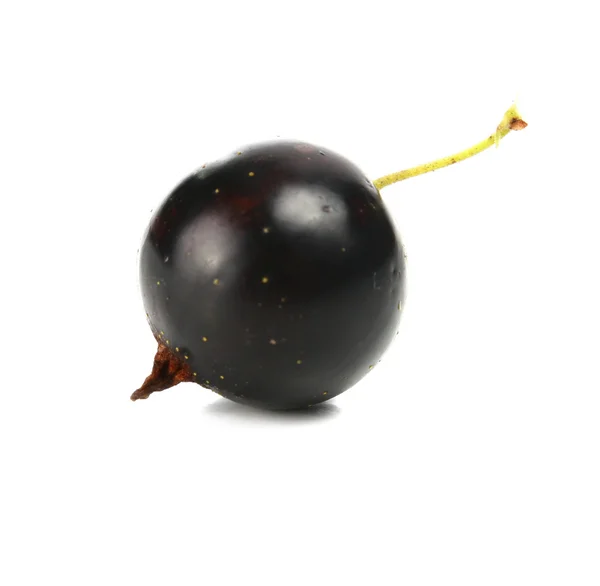 Üzümler — Stok fotoğraf