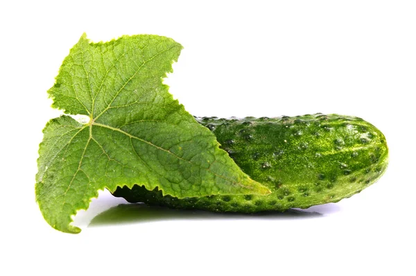 Cucumber and leaf — Stock Photo, Image