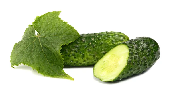 Cucumber and leaf — Stock Photo, Image