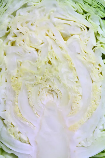 Zucchin ve yaprak — Stok fotoğraf