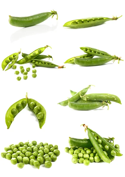 stock image Green pea