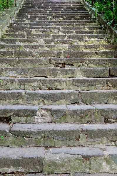 Taş adımları — Stok fotoğraf