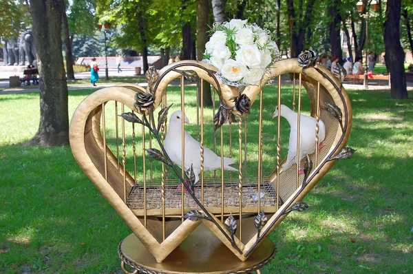 stock image Pigeons are in a cage