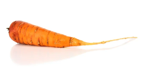 Frisches und vitaminreiches Gemüse — Stockfoto