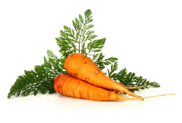 新鲜和维生素的蔬菜 — 图库照片