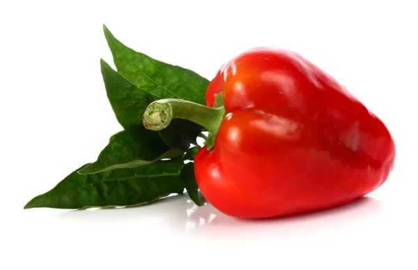 Röd paprika och gröna blad — Stockfoto