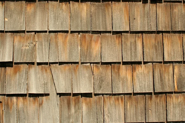 Backgound di legno — Foto Stock